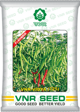 vnr vidya 725 f1 hybrid chilli (vnr seed's)
