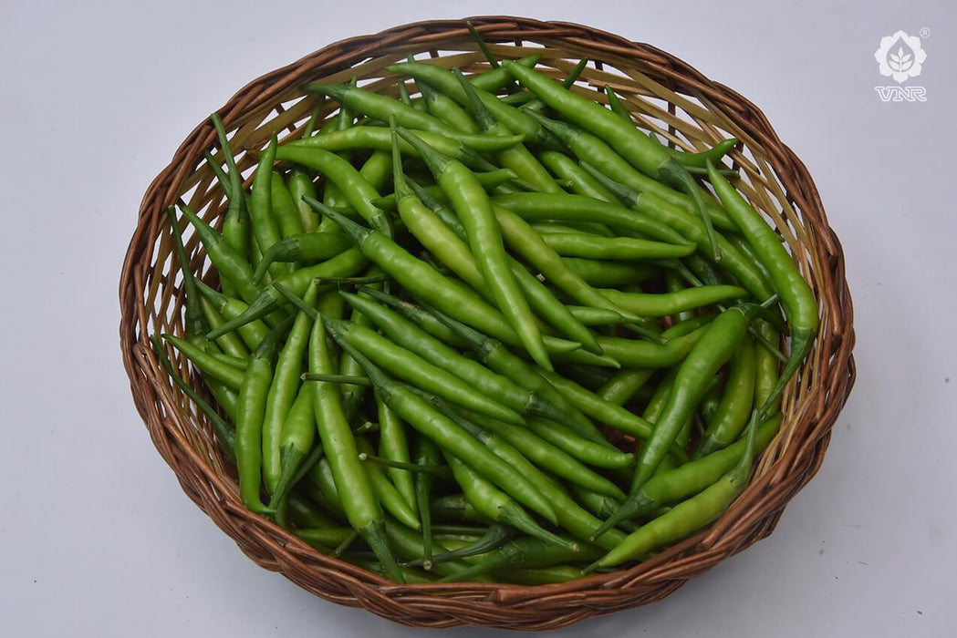 vnr 1366 f1 hybrid chilli (vnr seed's)