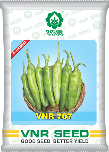 vnr 707 f1 hybrid chilli (vnr seed's)