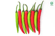 vnr 751 f1 hybrid chilli (vnr seed's)