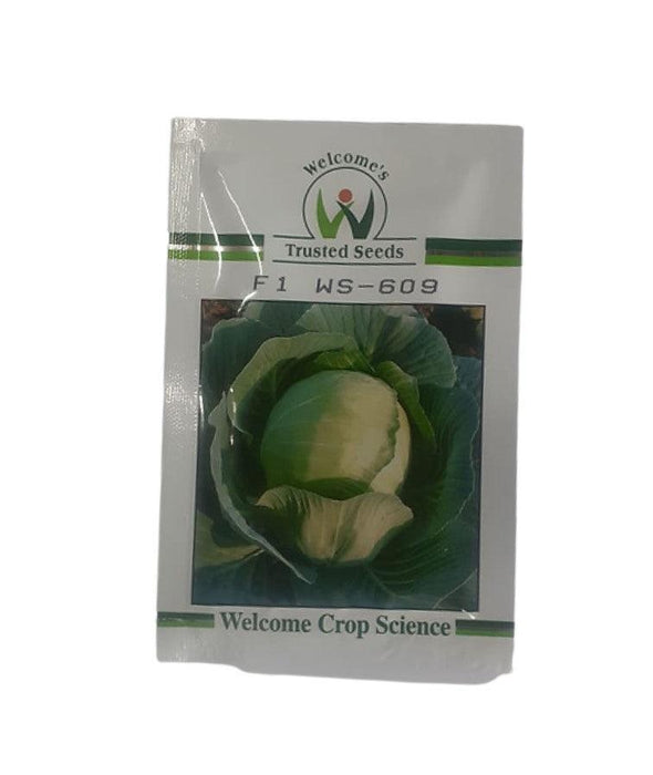ws 609 f1 hybrid cabbage (welcome's seeds)