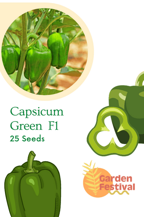 capsicum green best quality hybrid f1 seeds  (garden festival)