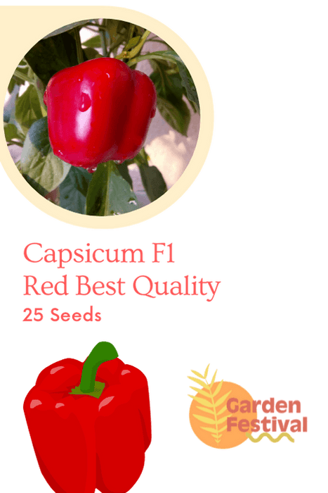 capsicm red best quality hybrid f1 seeds  (garden festival)