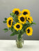 Ornamental Sunflower Sunshine F1 Hybrid (Known You Seeds, Taiwan) - Farmers Stop